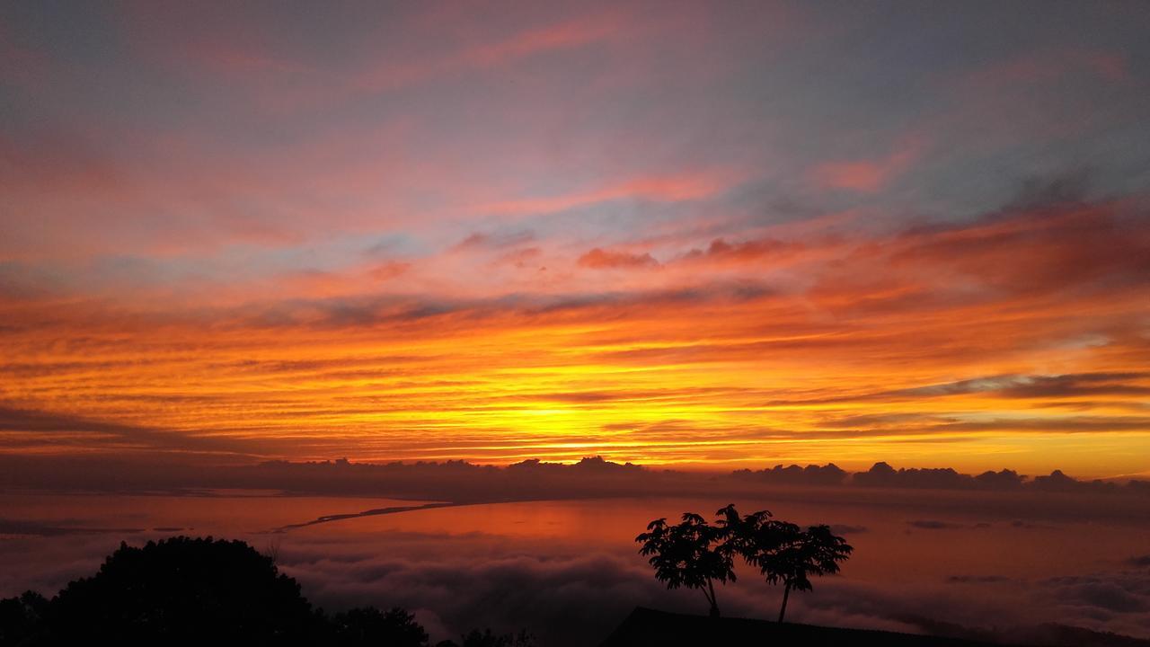 El Dorado Nature Reserve Villa Minca Dış mekan fotoğraf